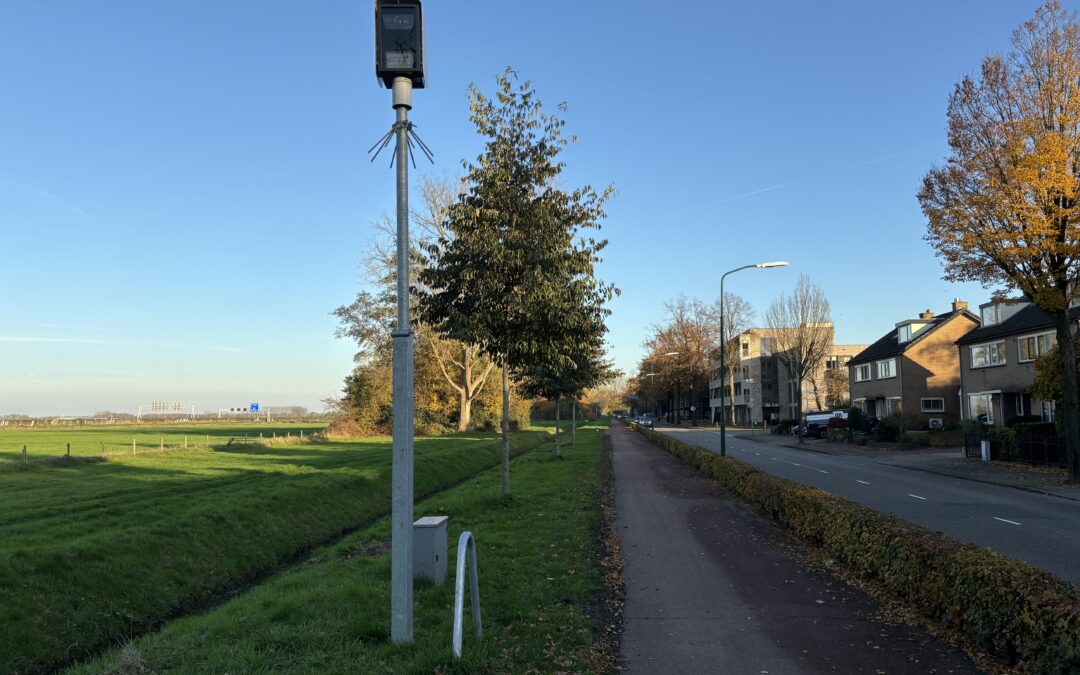 Flitspaalgedrag